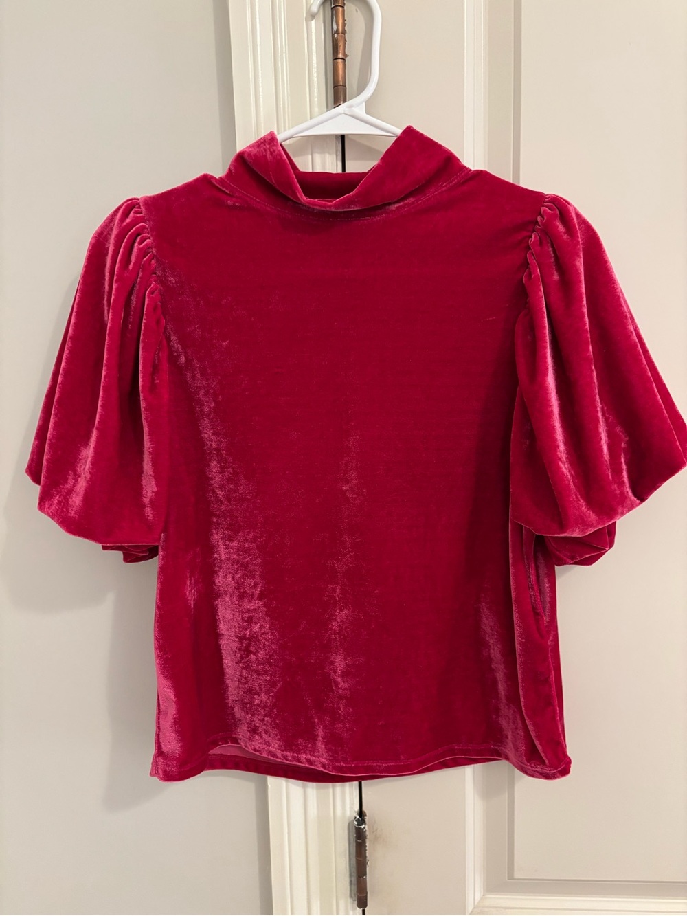 Free People Raspberry Velvet Puff Sleeve Blouse